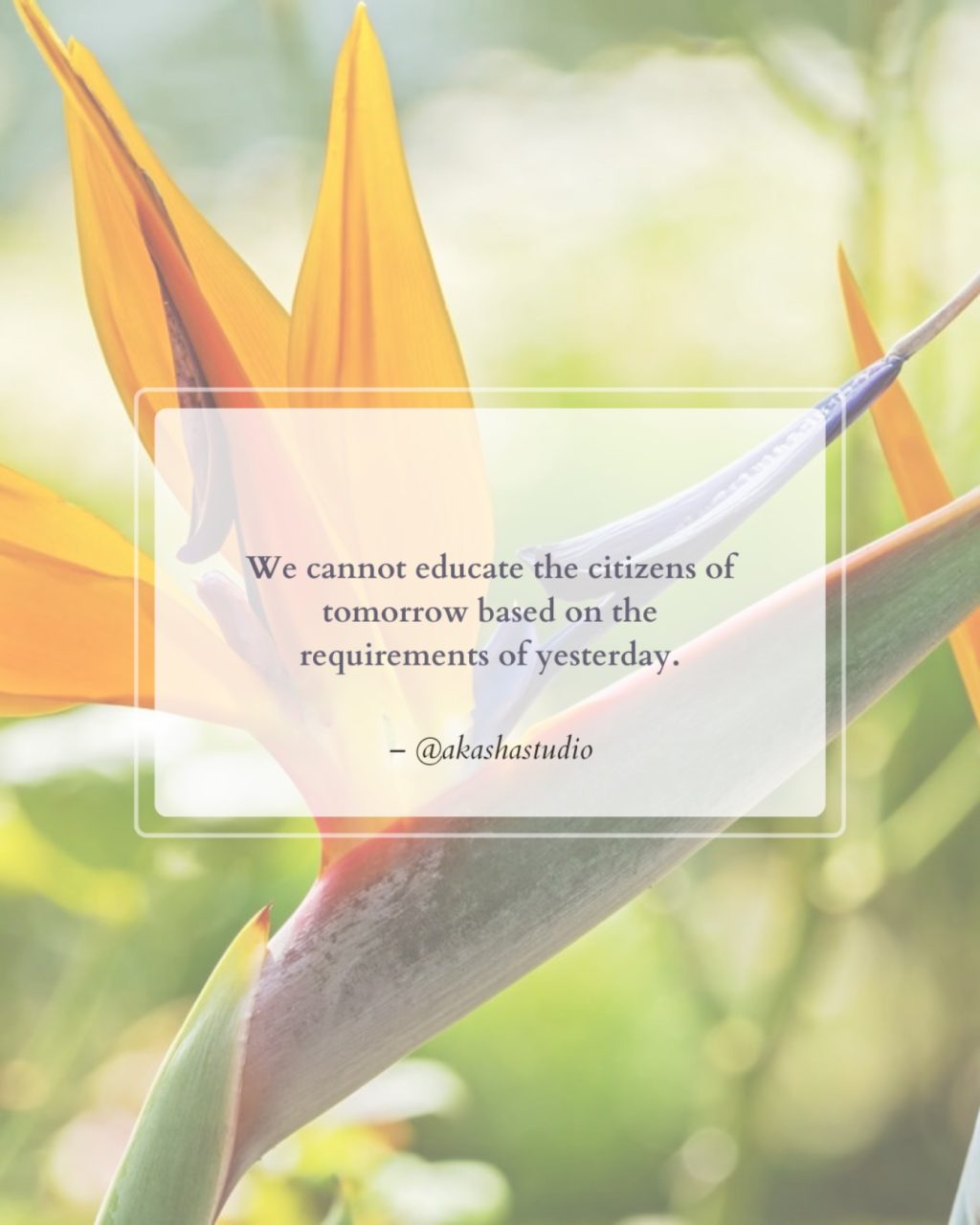 Instagram post from akashaschool. This post is in position 1.